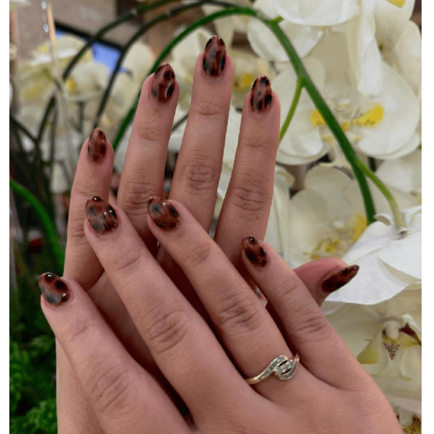 Glossy Tortoiseshell Almonds Glossy Tortoiseshell Almonds — Short Winter Almond Nails
