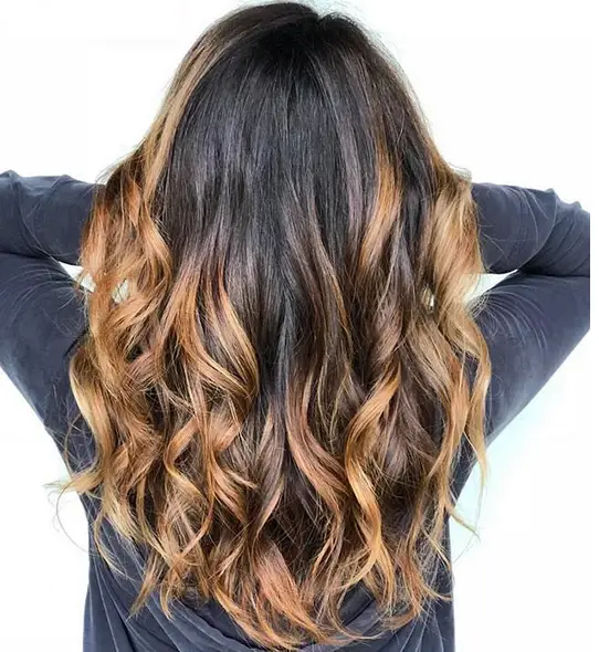 Dark Brown to Caramel and Blonde — Wavy Hair Viewed From The Back Dark Brown to Caramel and Blonde — Wavy Hair Viewed From The Back — Winter Ombre Hair