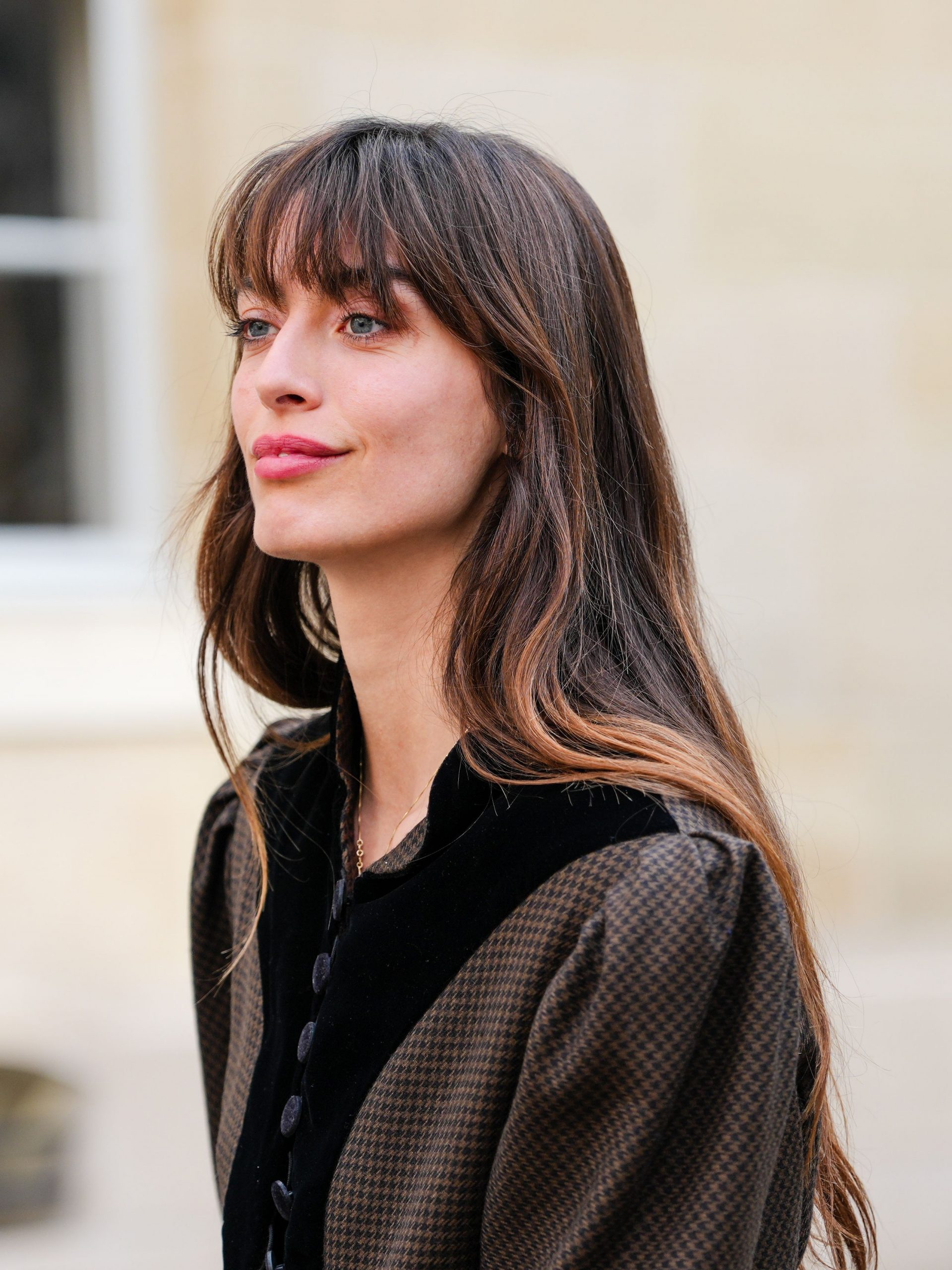 Dark Brown With Subtle Highlights Mid-Back Layers With Full Fringe Dark Brown With Subtle Highlights Mid-Back Layers With Full Fringe — Winter Haircuts with Bangs