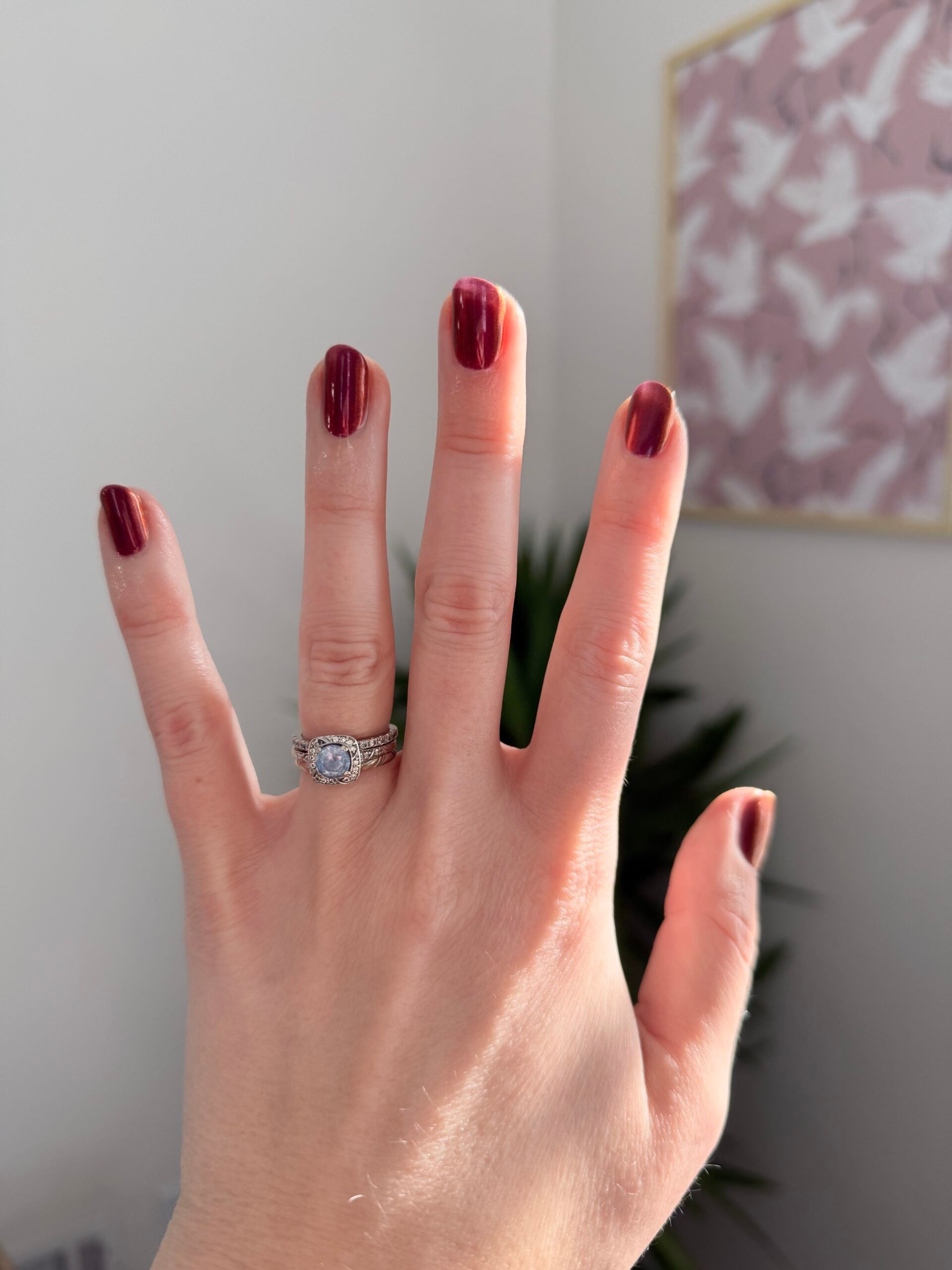 Rich Deep Berry Red Squares Rich Deep Berry Red Squares — Winter Red Nails