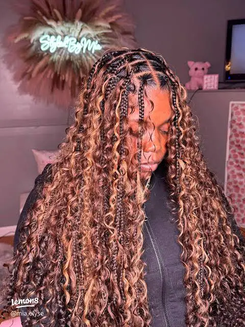 Bohemian Braids With Mixed Tones Bohemian Braids With Mixed Tones — Winter Knotless Braids