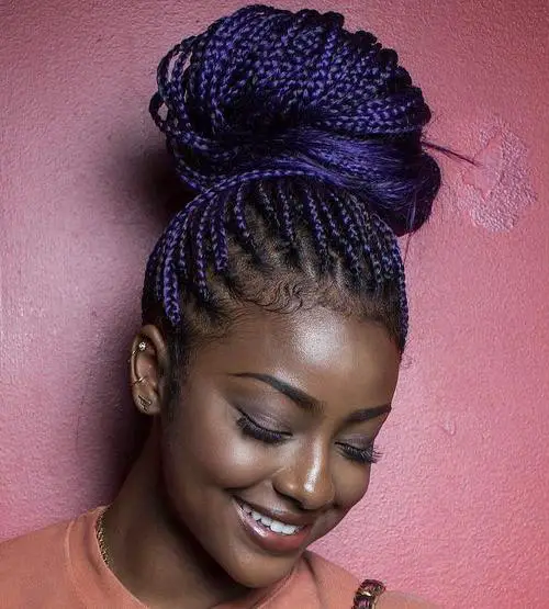 30 Long Box Braids Ideas that Will Make You Say Wow