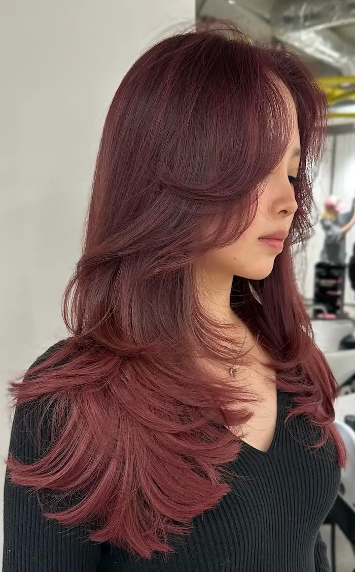 Berry Plum With Violet Dimension Berry Plum With Violet Dimension — Plum Hair Color