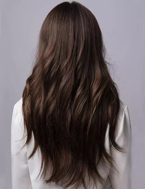 Back View Visual Idea Back View Visual Idea — Winter Haircuts for Thick Hair