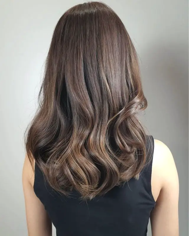 Chestnut Brown With Dimensional Highlights Chestnut Brown With Dimensional Highlights — Chestnut Brown Hair