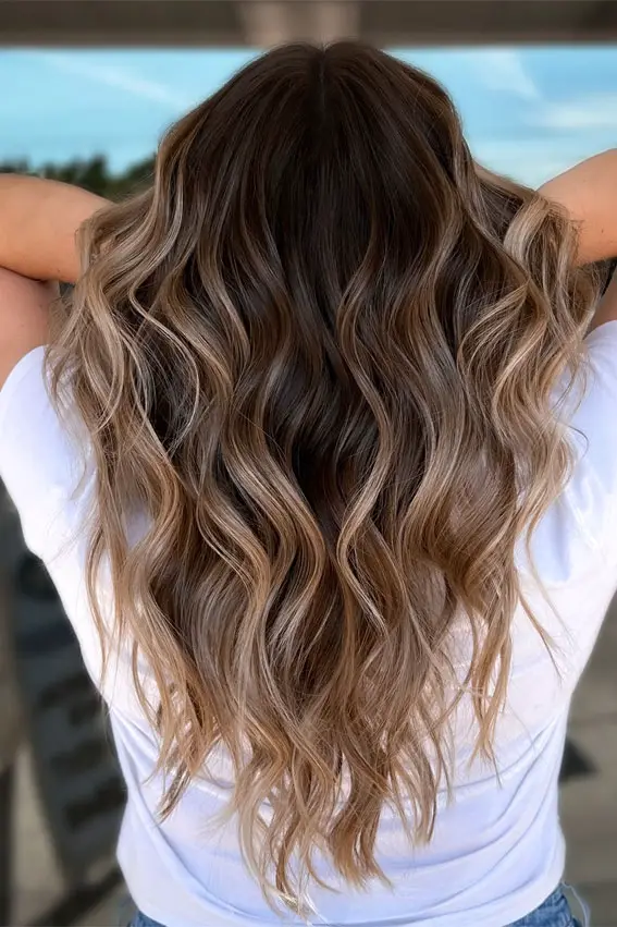 Back View Full Shot Visual Idea Back View Full Shot Visual Idea — Blonde to Brunette Hair