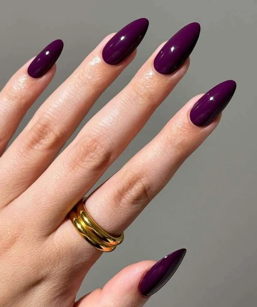 Deep Rich Plum Purple Stilettos Deep Rich Plum Purple Stilettos — Winter Purple Nails