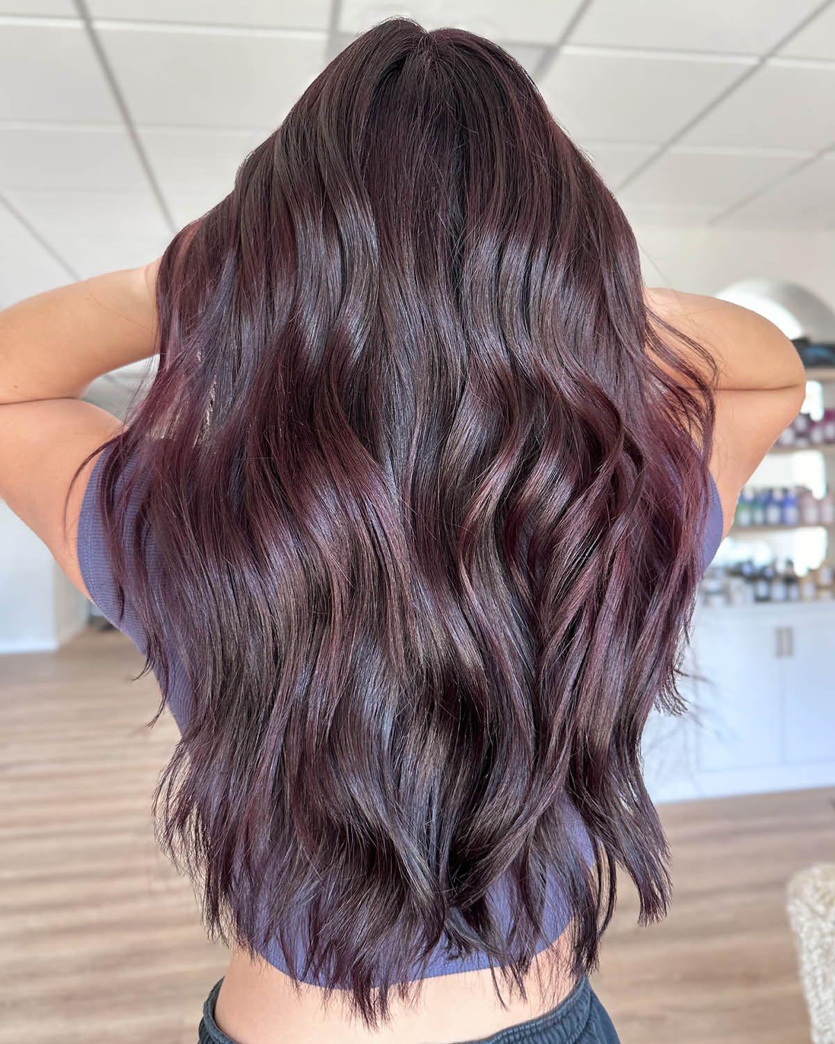 Rich Plum Hue Visual Idea Rich Plum Hue Visual Idea — Winter Hair Colors for Brunettes
