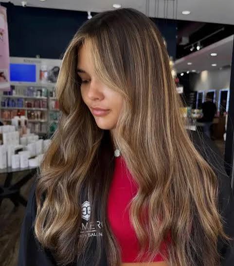 Dark Brown With Ash Blonde Dimension Dark Brown With Ash Blonde Dimension — Winter Hair Colors