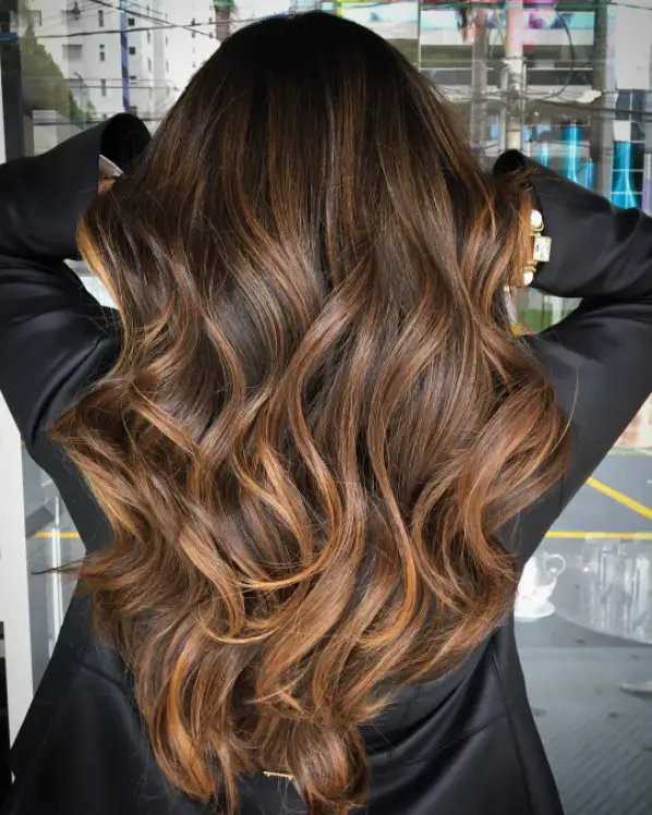 Mid-Back Dark Brown with Warm Caramel Balayage Mid-Back Dark Brown with Warm Caramel Balayage — Winter Brown Hair Colors
