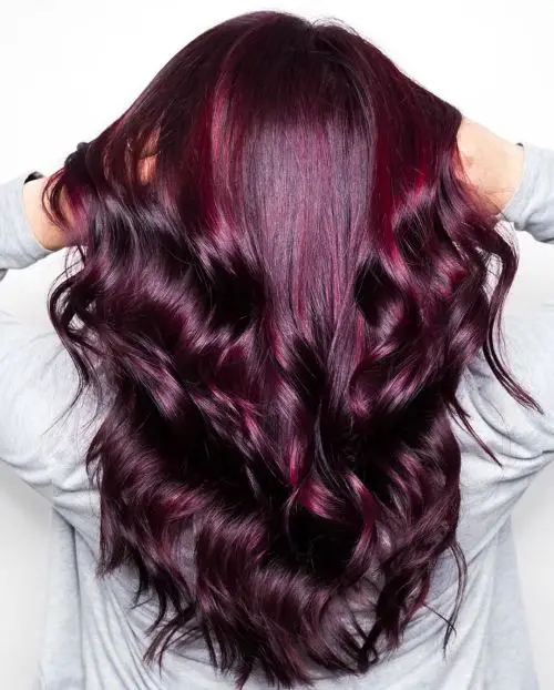 Long Layers Visual Idea Long Layers Visual Idea — Plum Hair Color