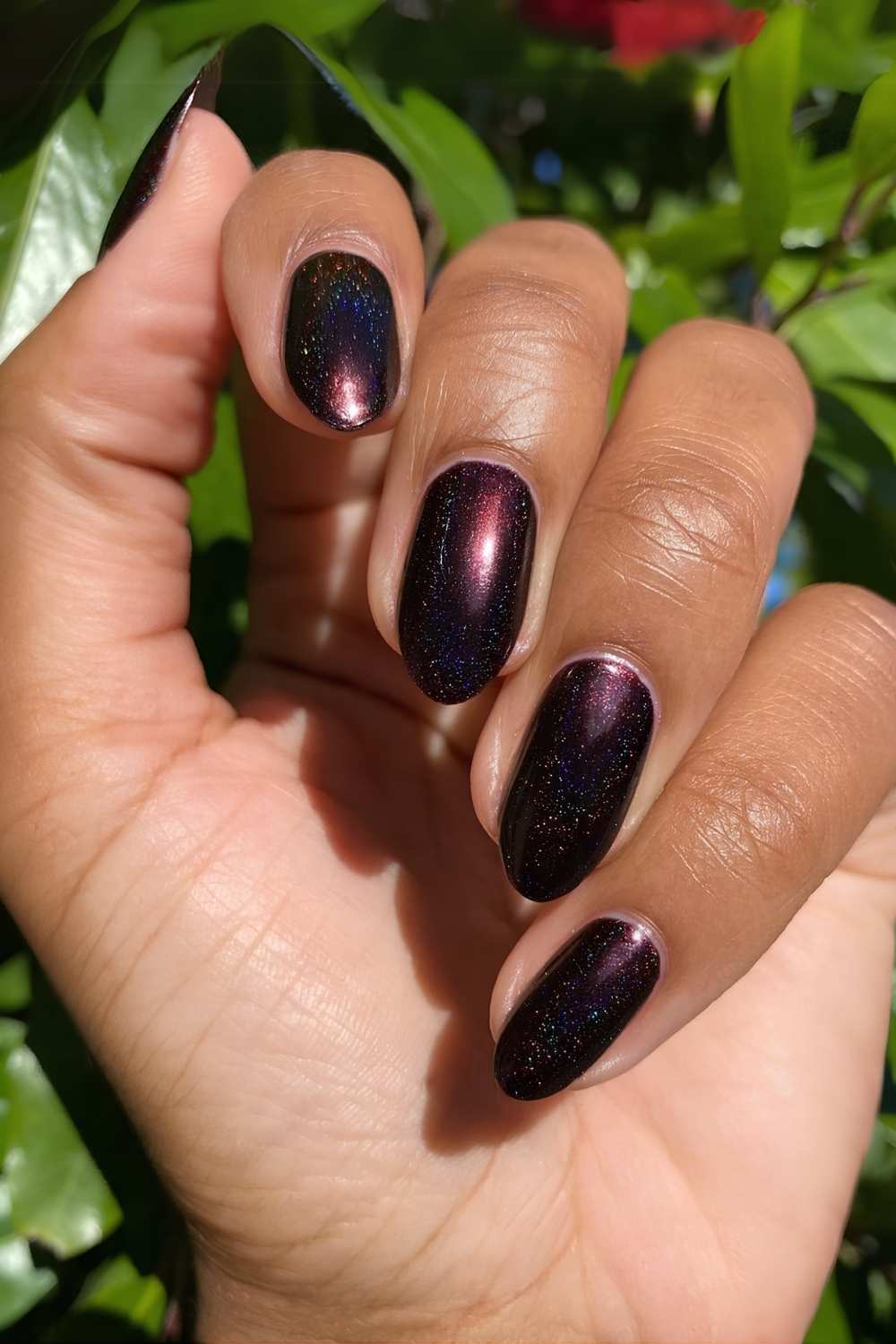 Black Cherry Cat Eye Medium Squares — Black Cherry Nails