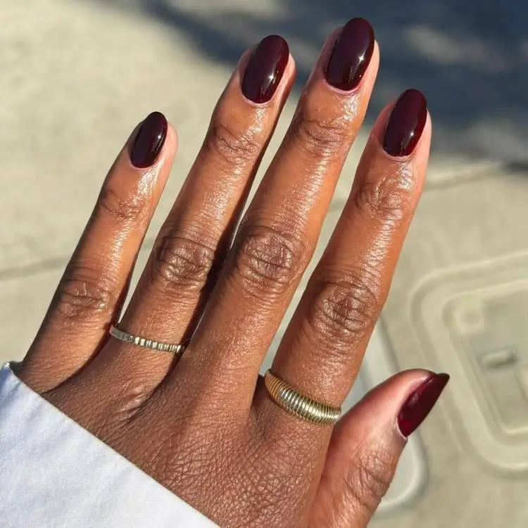 Winter Fall Holiday Visual Idea Winter Fall Holiday Visual Idea — Winter Nail Colors for Dark Skin