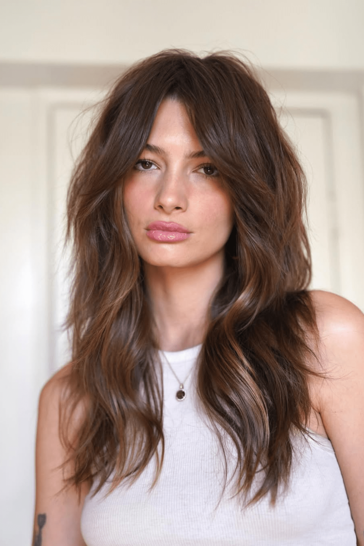 Dark Brown With Subtle Highlights Visual Idea Dark Brown With Subtle Highlights Visual Idea — Winter Shag Haircuts