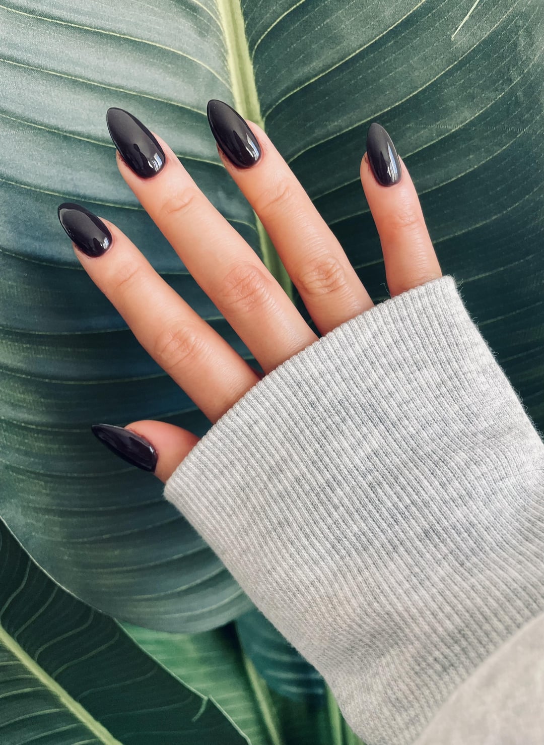 Glossy Visual Idea Glossy Visual Idea — Chocolate Brown Nails