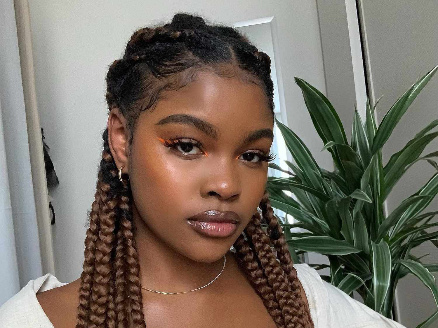Chest Length Box Braids With Highlights — Cute Winter Hairstyles
