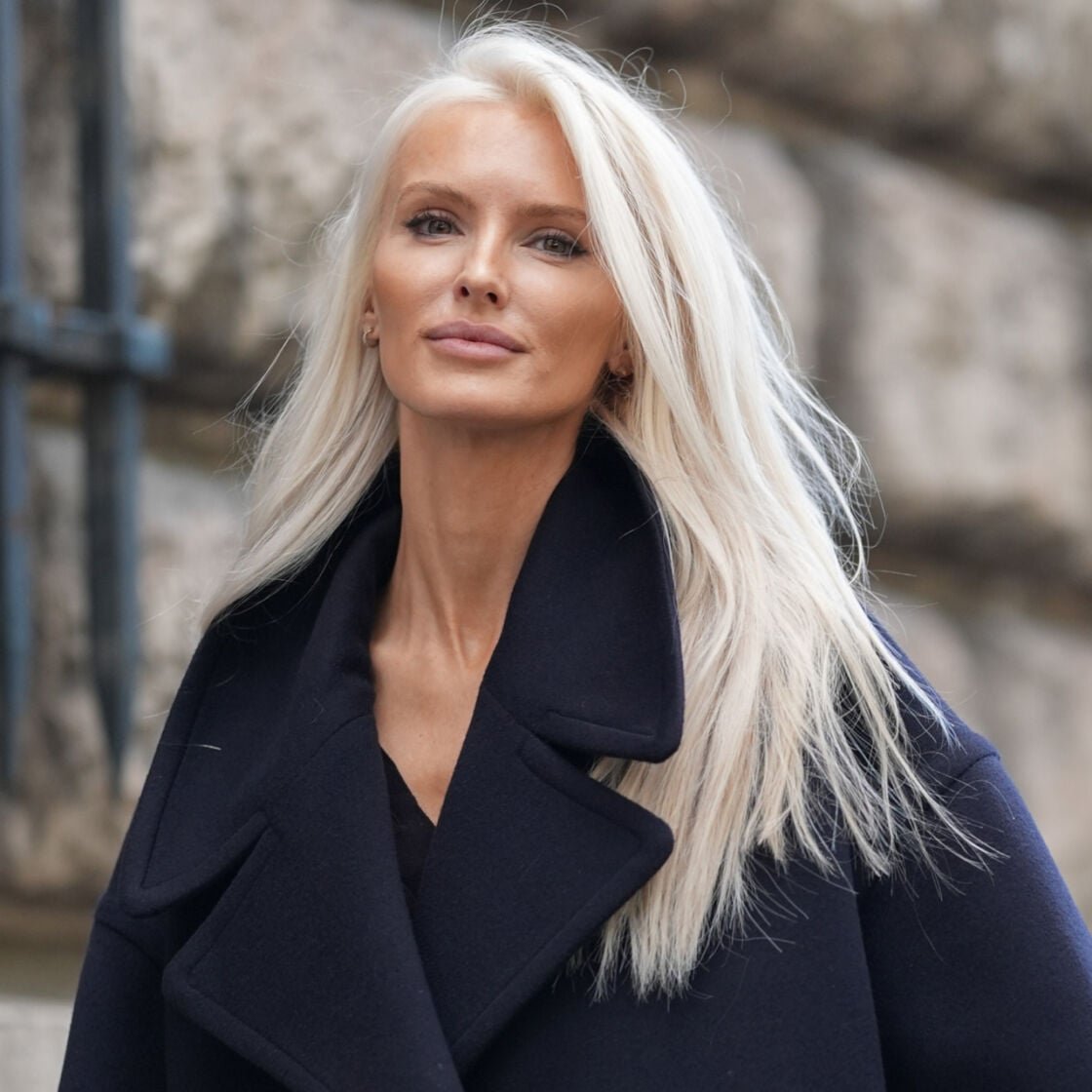 Elegant Platinum Blonde Elegant Platinum Blonde — Winter Hair Colors