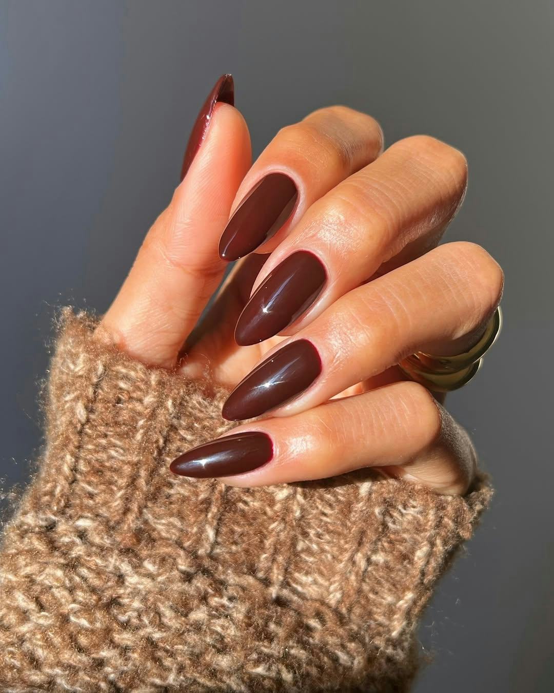 Deep Dark Brown Glossy Stilettos Deep Dark Brown Glossy Stilettos — Winter Nail Colors