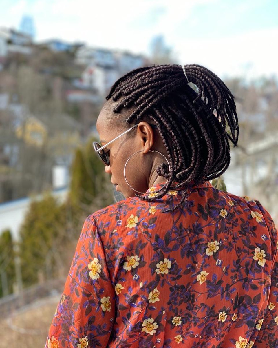 Black Box Braids High Ponytail — Winter Braid Colors for Black Women