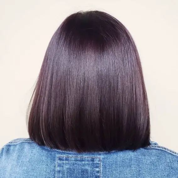 Sleek Dark Purple Collarbone Bob — Winter Lob Haircuts