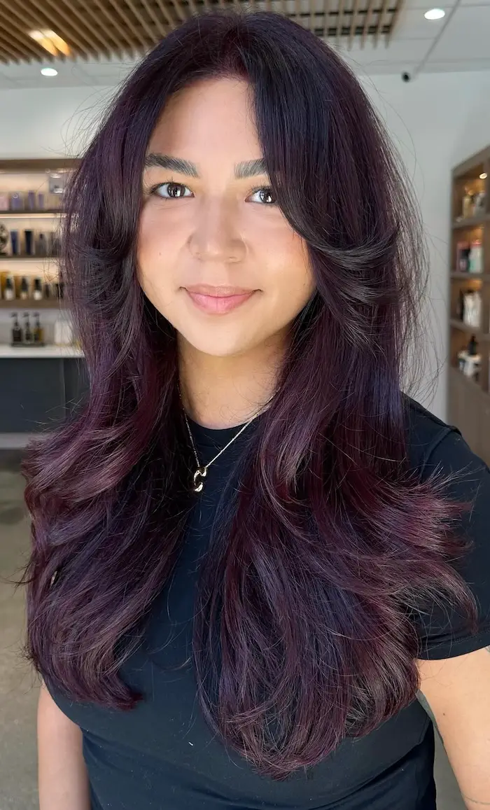 Aubergine Plum Brunette Visual Idea Aubergine Plum Brunette Visual Idea — Winter Hair Colors for Brunettes