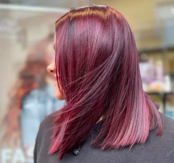 Plum Burgundy With Cherry Streaks Plum Burgundy With Cherry Streaks — Cherry Cola Hair Color