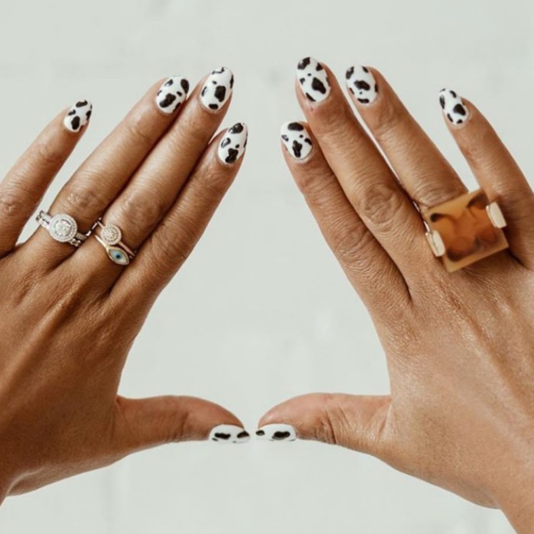 Bold Black and White Cow Print Bold Black and White Cow Print — Short Winter Nails