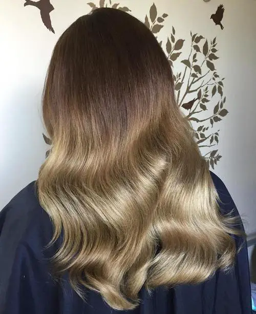 Mid-Back Dark Brown Blonde Ombre Mid-Back Dark Brown Blonde Ombre — Blonde to Brunette Hair