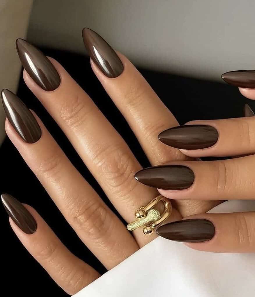 Rich Chocolate Brown Lustrous Sheen — Brown Nail Designs