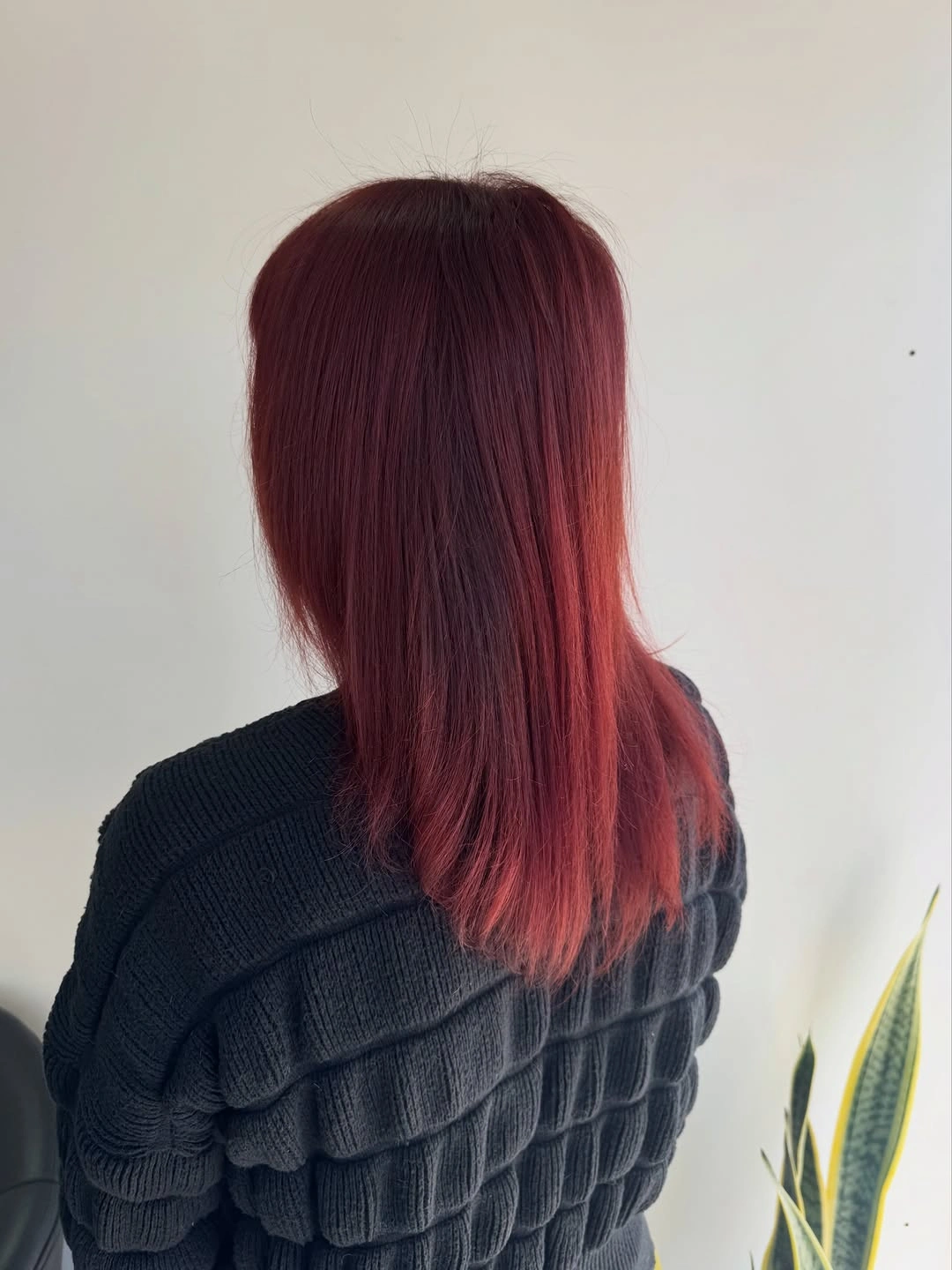 Straight burgundy-red hair with darker crown and brighter ends