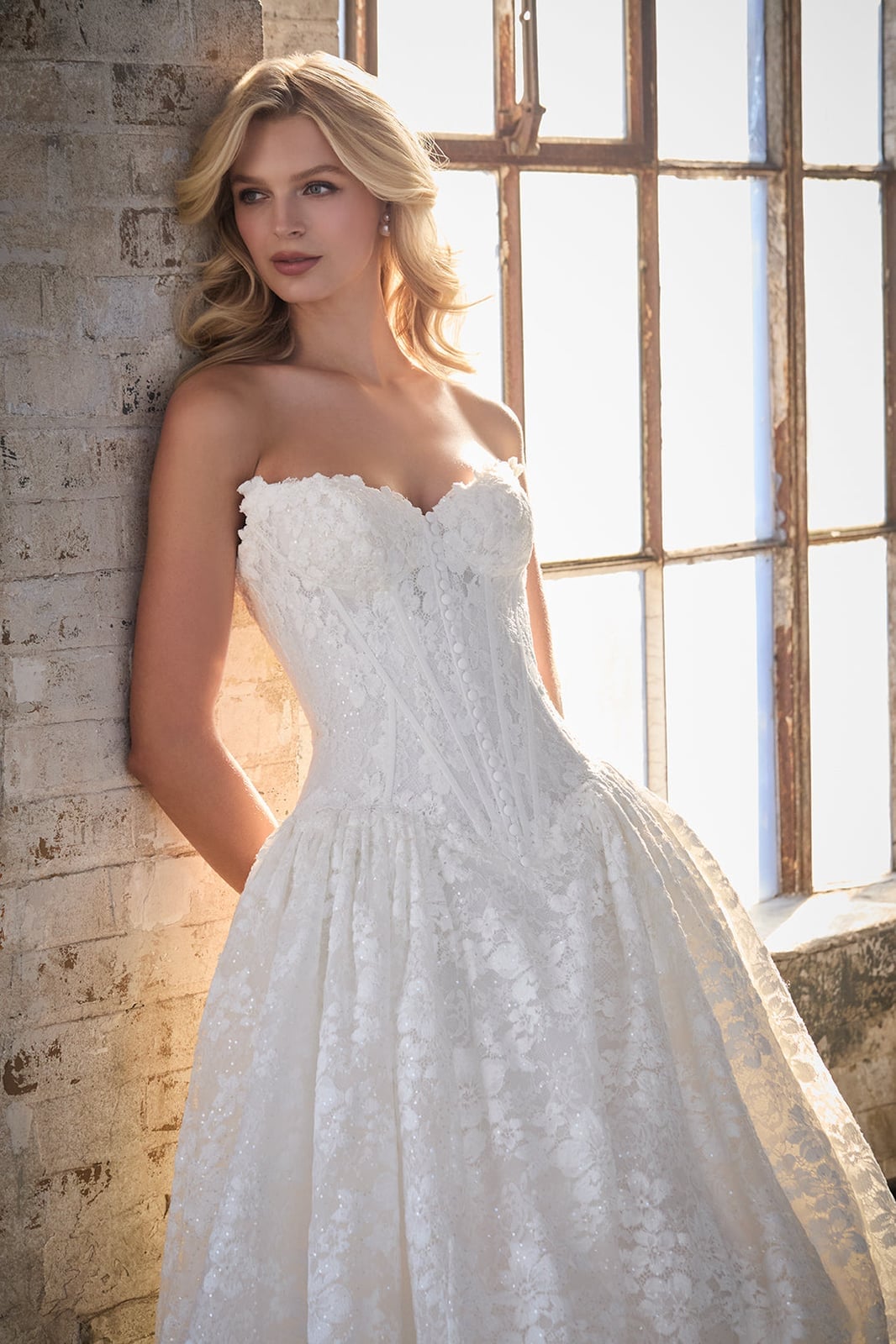 White Lace Ballgown Wedding Dress with Sweetheart Neckline and Glitter White Lace Ballgown Wedding Dress with Sweetheart Neckline and Glitter — Aesthetic Wedding Dress