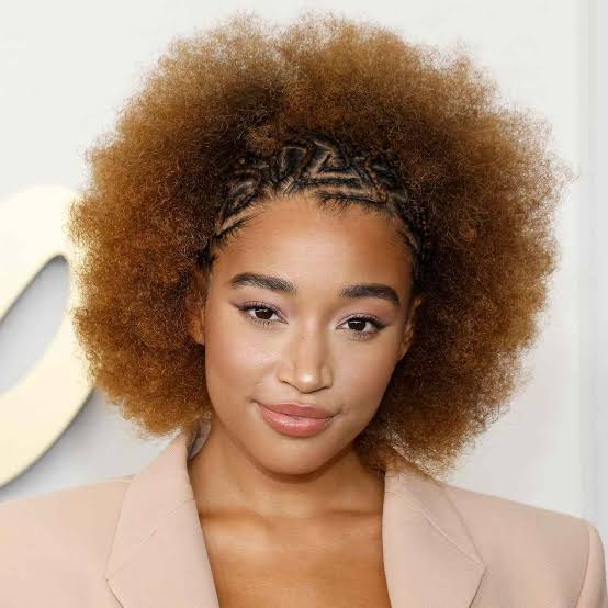 Brown Afro With Geometric Braids Brown Afro With Geometric Braids — Classy 4c Hairstyles