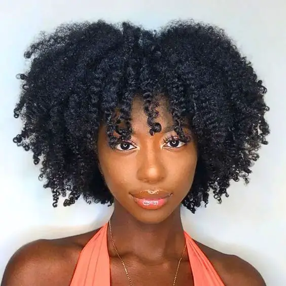 Collarbone Length Layered Blowout, Black Collarbone Length Layered Blowout, Black — Classy 4c Hairstyles