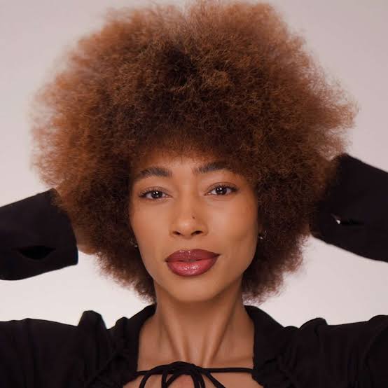 Full Rounded Brown Afro Full Rounded Brown Afro — Classy 4c Hairstyles