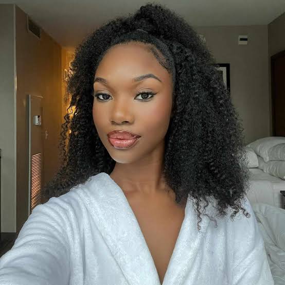High Ponytail With Defined Coils High Ponytail With Defined Coils — Classy 4c Hairstyles