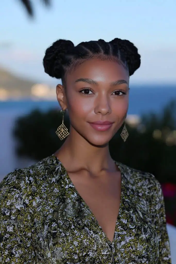 Dark Brown Box Braids in Two Space Buns — Classy Braiding Hair