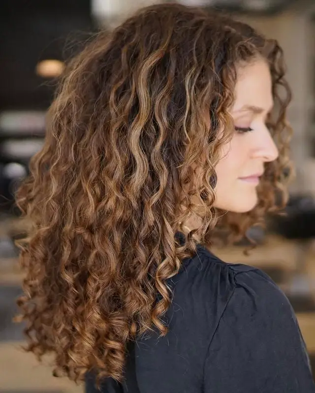 Mid-Back Chestnut Curls With Blonde Highlights Mid-Back Chestnut Curls With Blonde Highlights — Classy Brown Curly Hair