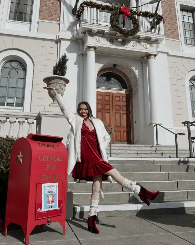 Red Velvet Dress With Faux Fur Coat Red Velvet Dress With Faux Fur Coat — Classy Casual Party Outfit