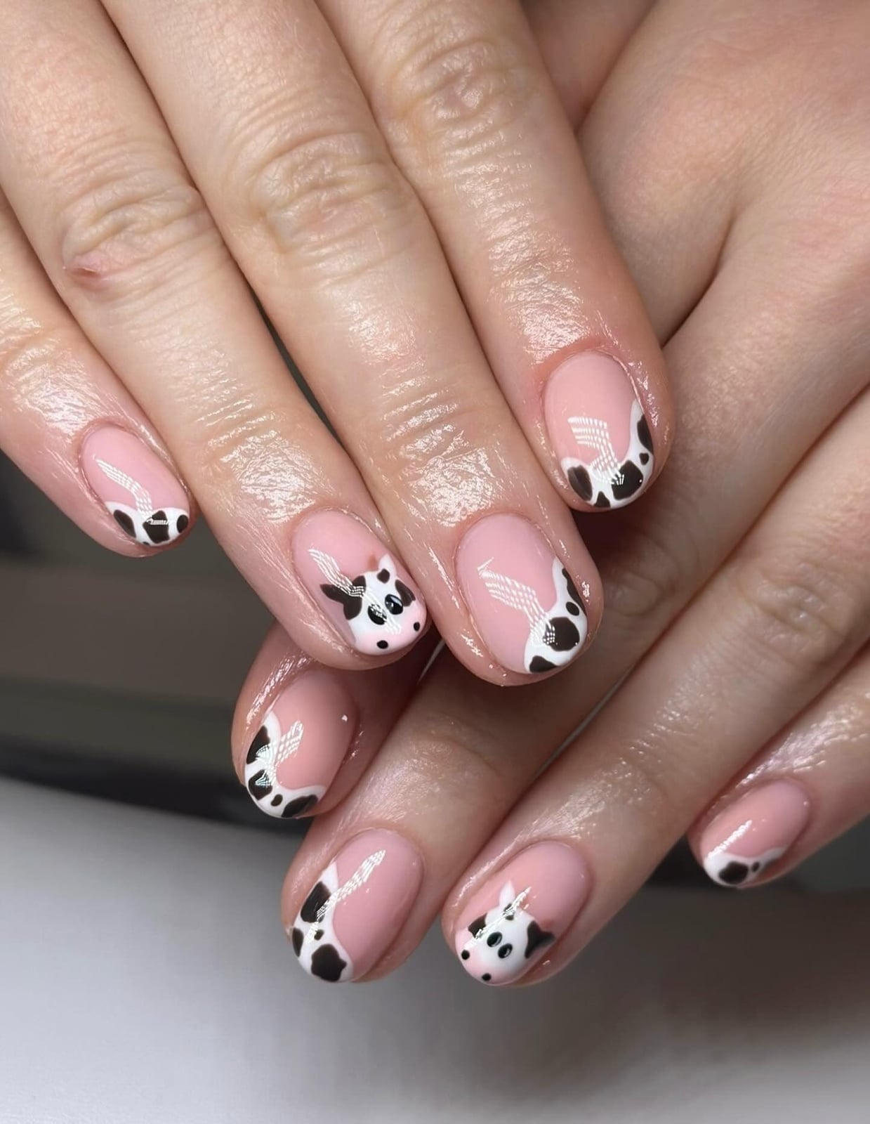 Short Oval Pale Pink with Cow Print Tips and Face, Close-Up Take Short Oval Pale Pink with Cow Print Tips and Face, Close-Up Take — Classy Cow Print Nails