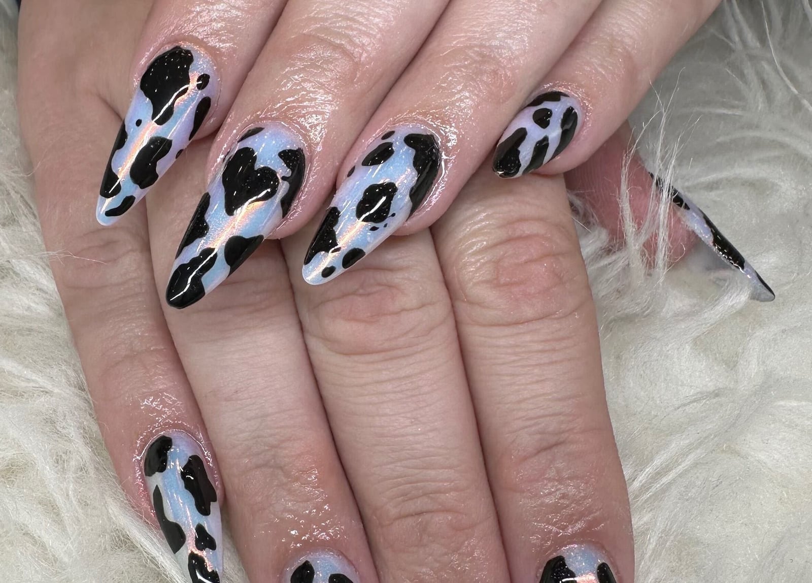 Long Stiletto Iridescent Black and White Cow Print Long Stiletto Iridescent Black and White Cow Print — Classy Cow Print Nails
