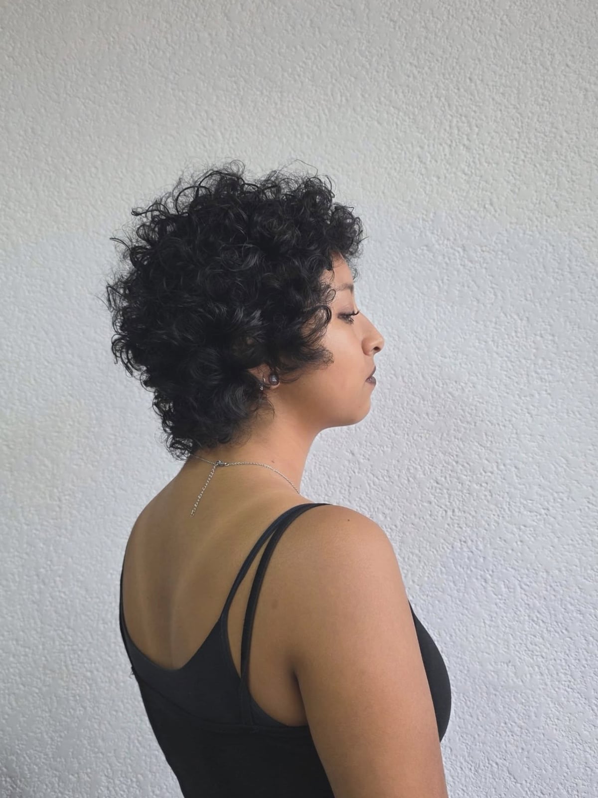 Short Defined Black Curls Short Defined Black Curls — Classy Curly Hair Hairstyles