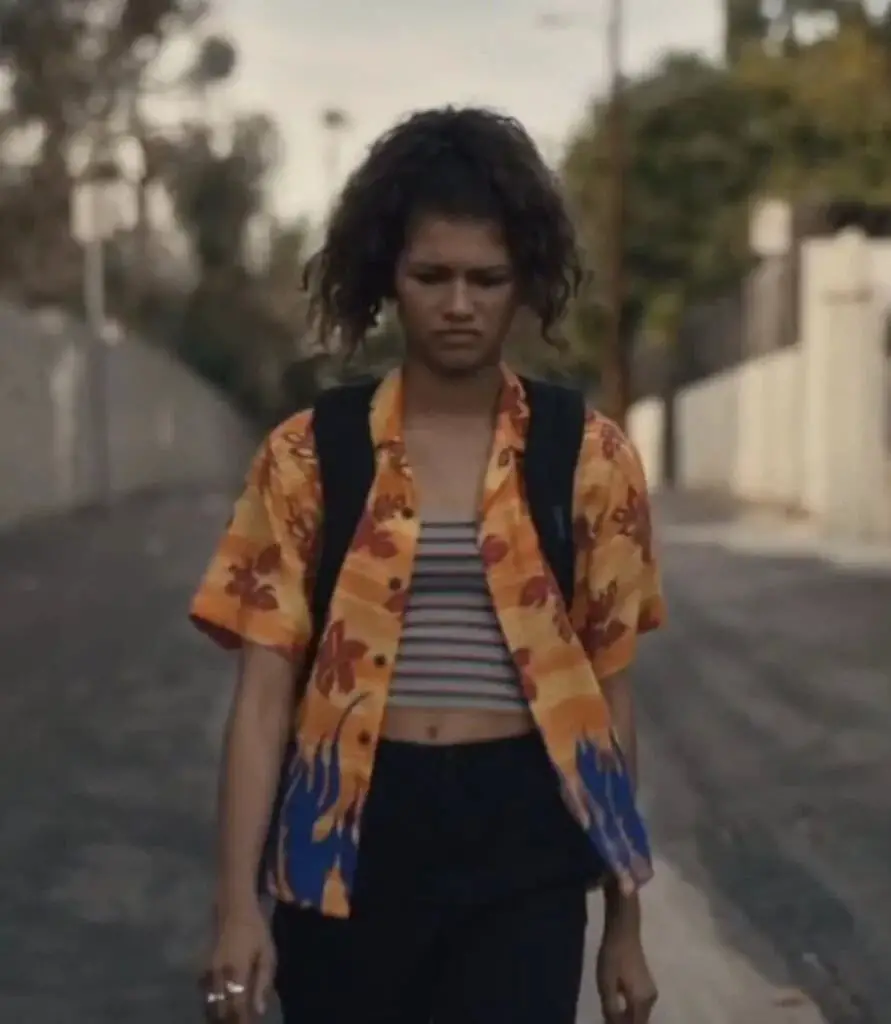 Floral Flame Print Shirt Over Striped Crop Top and Black Pants — Classy Euphoria Outfits
