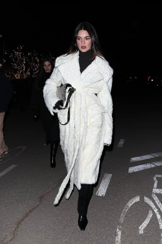 Classy Fur Outfits
