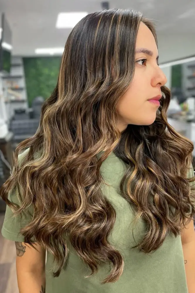 Deep Brown Numerous Highlights Side Part — Classy Highlights Brown Hair