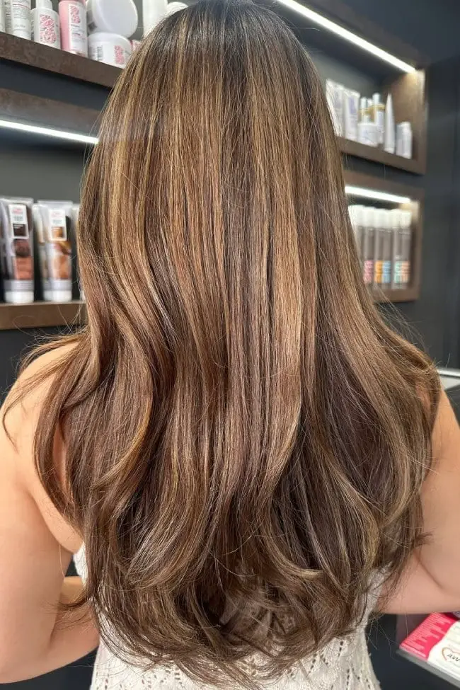 Mid-Back Brown Caramel Highlights Mid-Back Brown Caramel Highlights — Classy Highlights on Brown Hair