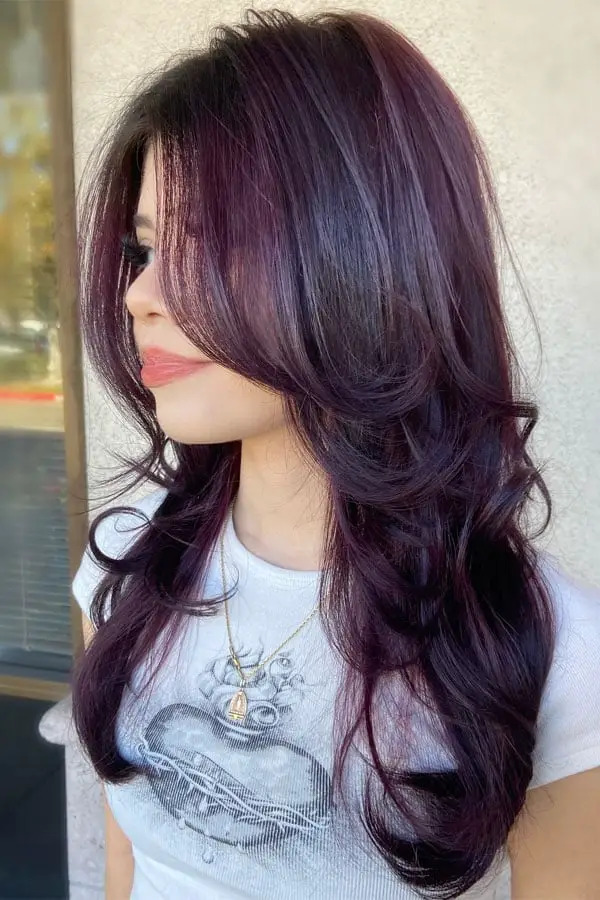 Deep Plum Mid-Back With Violet Dimension Deep Plum Mid-Back With Violet Dimension — Classy Lavender Hair