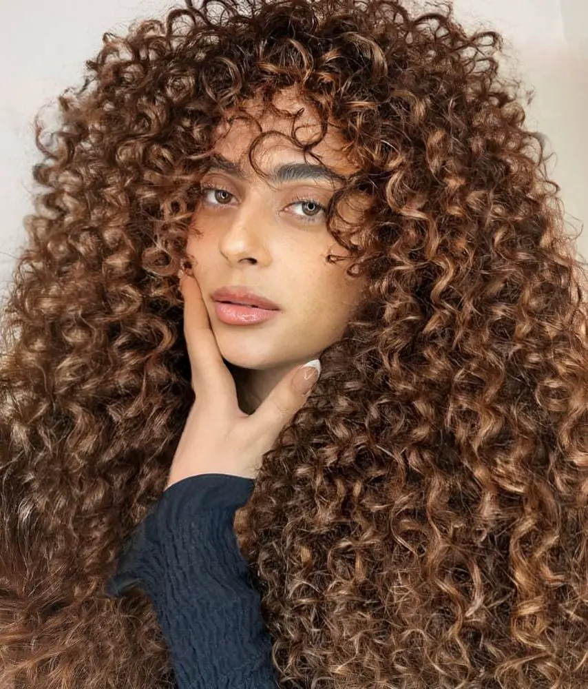 Long Dark Brown Hair With Defined Curls Long Dark Brown Hair With Defined Curls — Classy Long Curly Hair