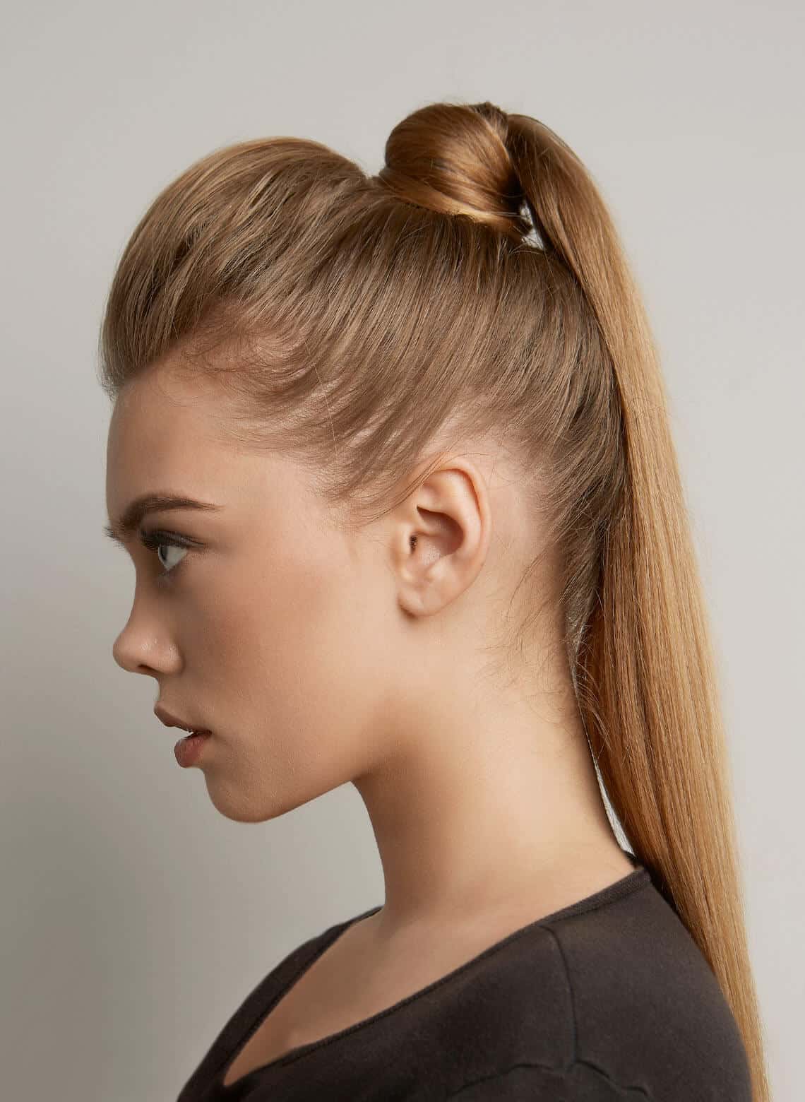 Sleek Honey Blonde High Ponytail Sleek Honey Blonde High Ponytail — Classy Office Hairstyles