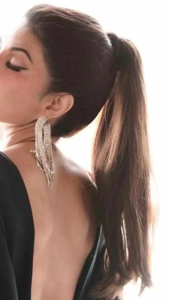 Medium Brown Low Ponytail Medium Brown Low Ponytail — Classy Office Hairstyles