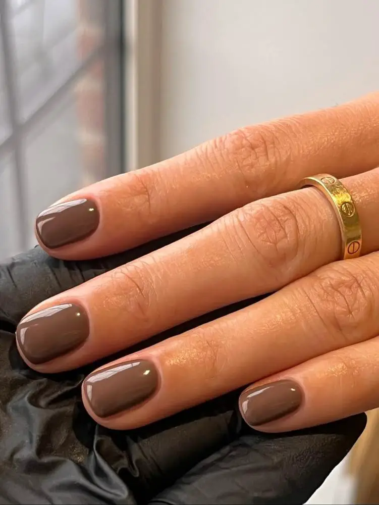 Deep Brown Glossy Cat Eye Short Oval Nails Deep Brown Glossy Cat Eye Short Oval Nails — Classy One Color Nails